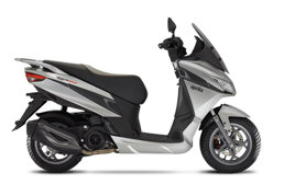 SXR